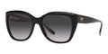 Emporio Armani Occhiali Da SoleF_0360_EA 4198_5017-8G_55