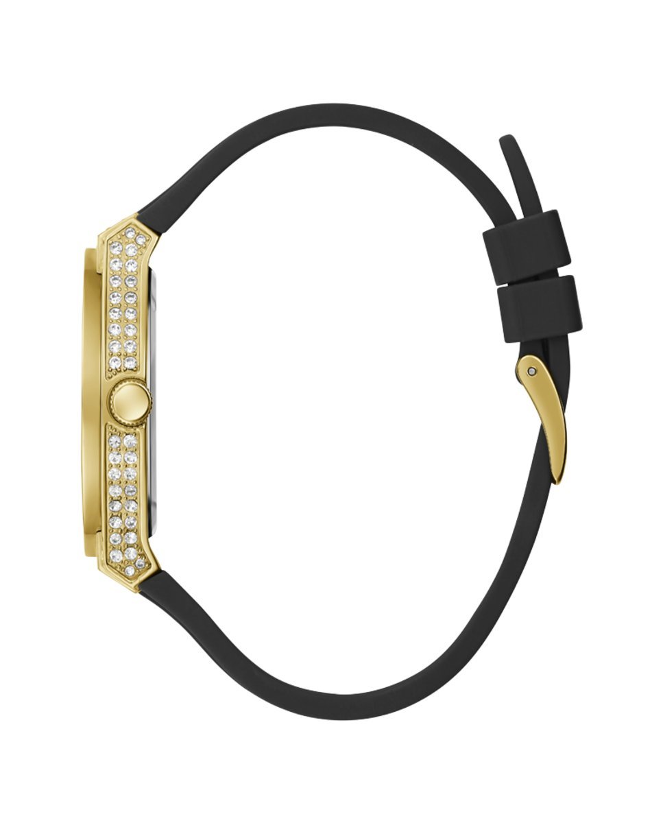 GuessF_0360_GW0439L2