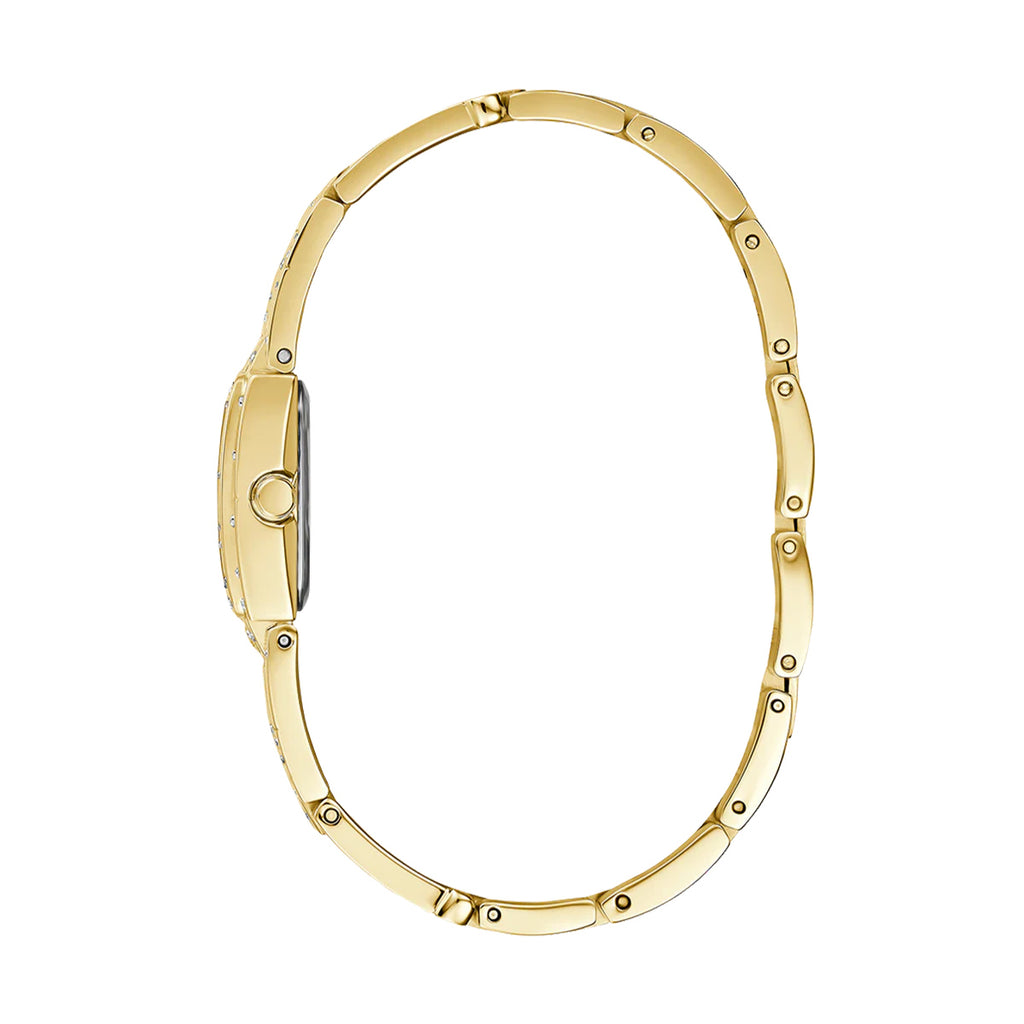 GuessF_0360_GW0441L2