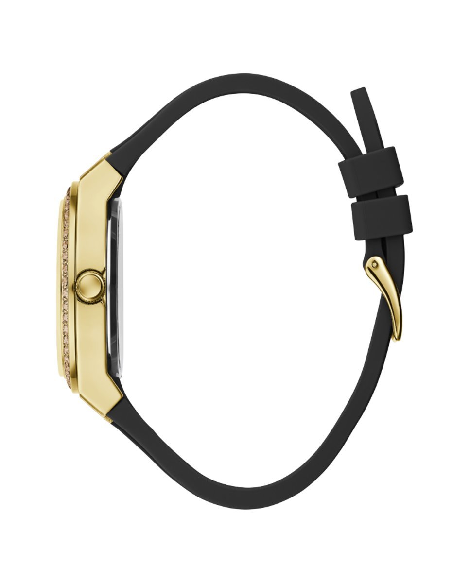 GuessF_0360_GW0482L1