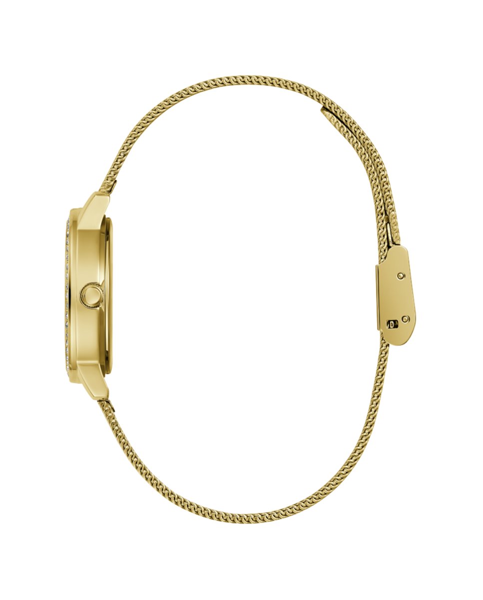 GuessF_0360_GW0534L2