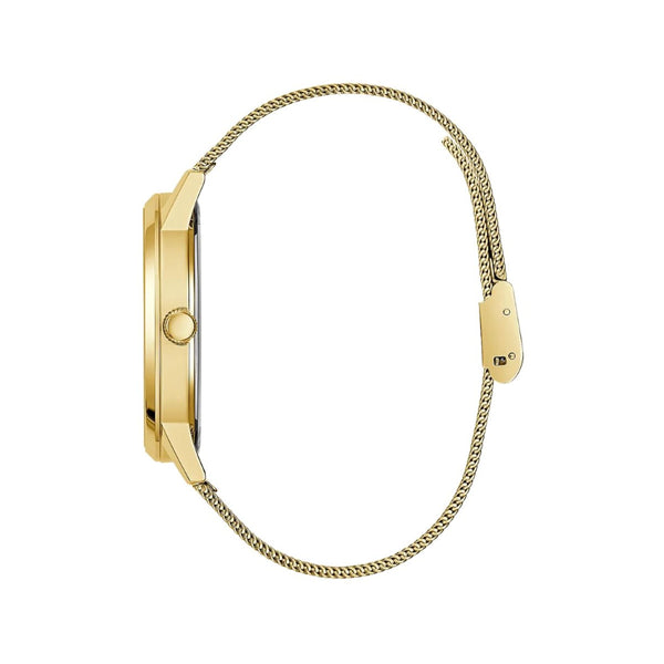 GuessF_0360_GW0538G2