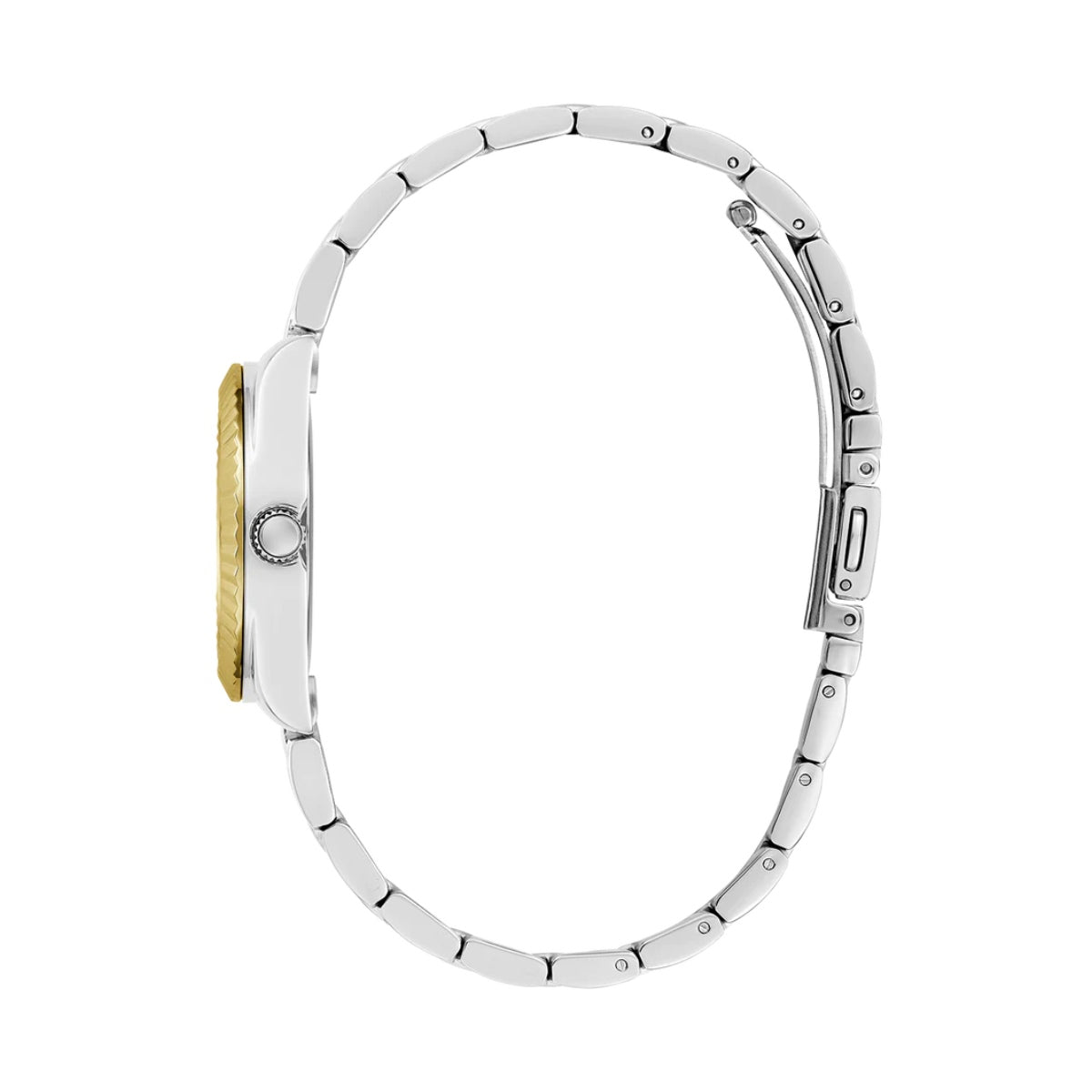 GuessF_0360_GW0687L4