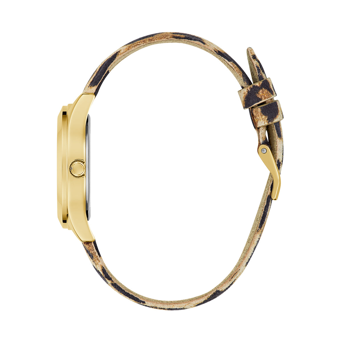 GuessF_0360_GW0745L2