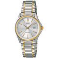 Casio Collection & VintageF_0360_LTP-1183G-7ADF