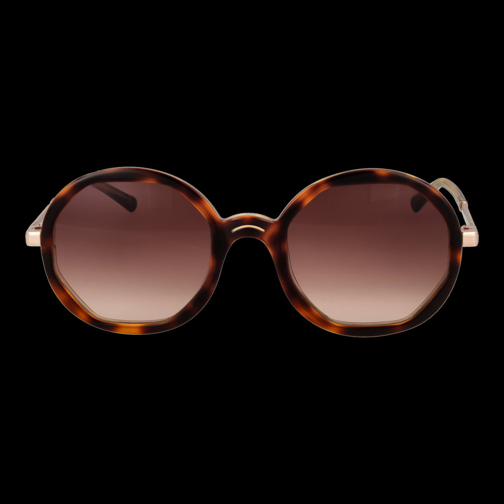 Sandro Paris Occhiali Da SoleF_0360_SD6042 53170